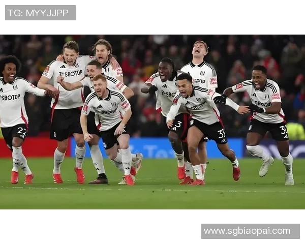 4-0,3-0!英超悲喜夜!热刺黑猫赢球,纽卡遭平,曼城登顶积分榜